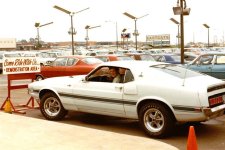 1969 Shelby.jpg