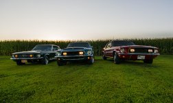 Our Mustangs.jpg