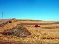 Harvest time in Iowa '08' 0099.JPG