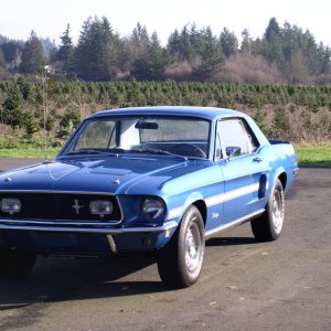 Mustang 021.jpg