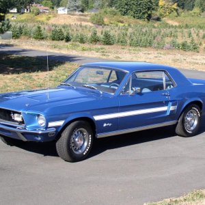 Mustang 050.jpg
