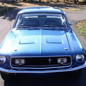 Mustang 078.jpg