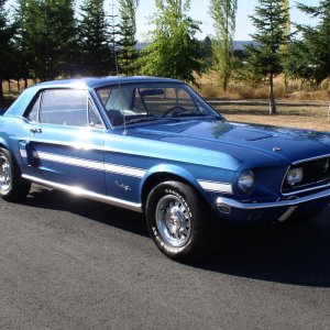 Mustang 079.jpg