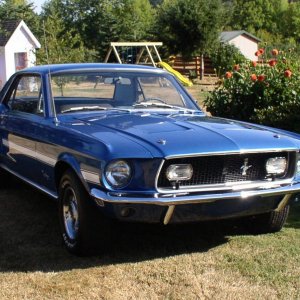 Mustang 049.jpg