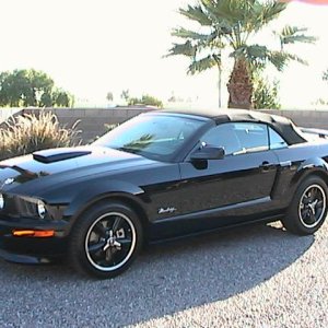 Mustang pics 007.jpg