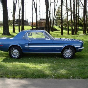Mustang 168.jpg