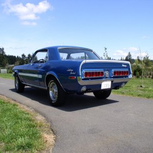 Mustang 139.jpg