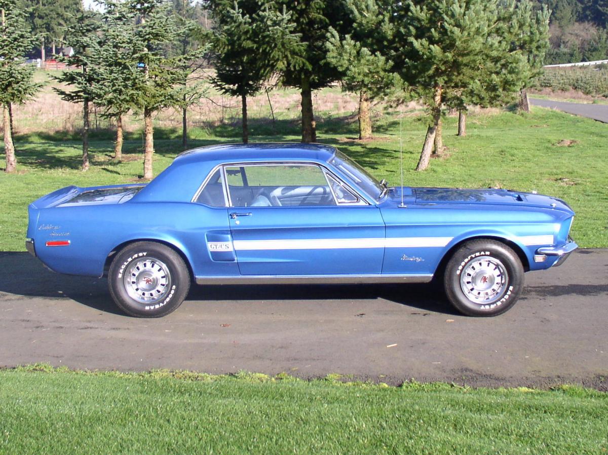 Mustang 011.jpg