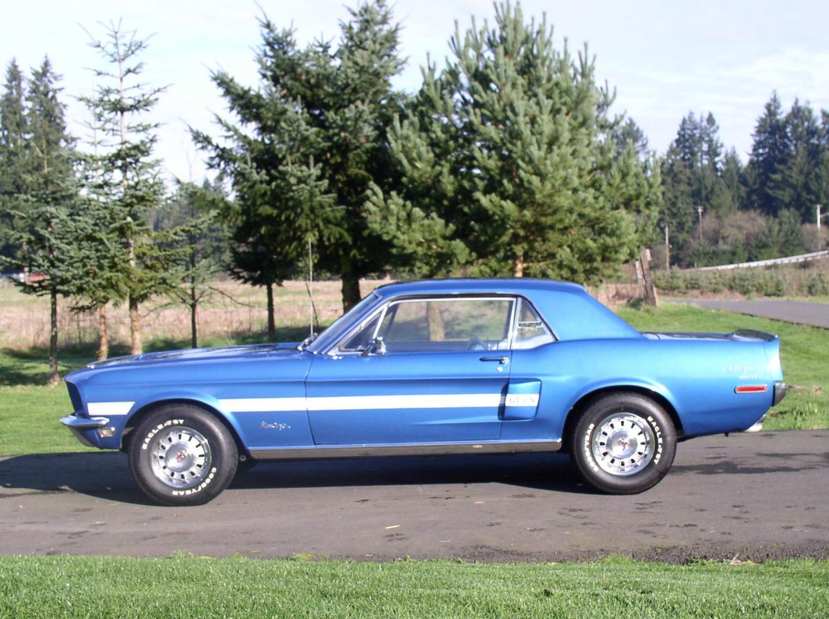 Mustang 019.jpg