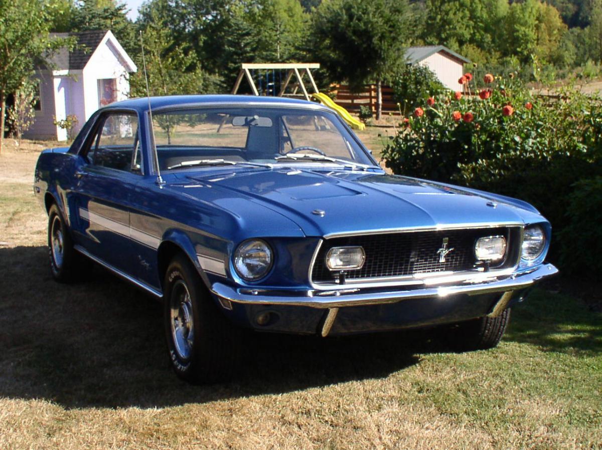 Mustang 049.jpg
