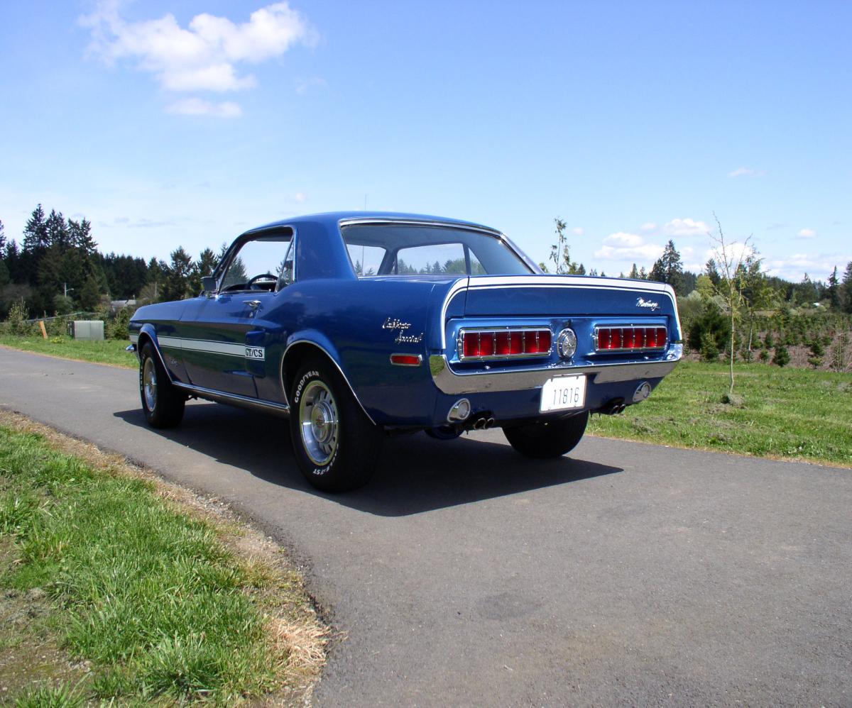 Mustang 139.jpg