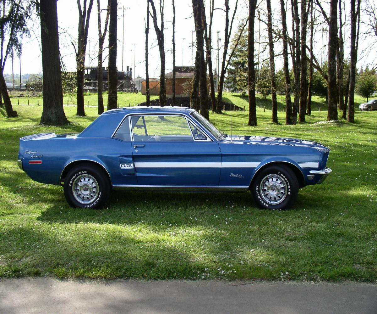 Mustang 168.jpg