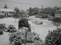 Second snowfall of 2010 003.jpg