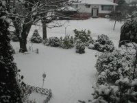 Second snowfall of 2010 004.jpg