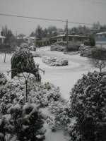 Second snowfall of 2010 005.jpg