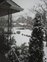 Second snowfall of 2010 006.jpg