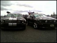 GTCS&Shelby.JPG