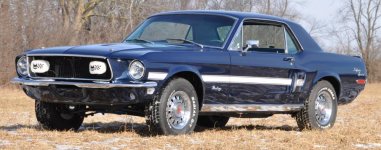 Mustang 2.6.17 083 cropped.jpg