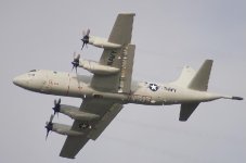 p-3.JPG