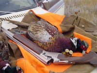 Alberta Pheasant trip 2009 063 (Medium).jpg