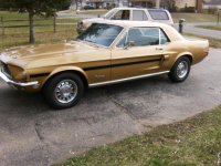 Bike and Mustang 2010 002.jpg