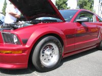 Fab Fords 2010 Mustangs 176.JPG