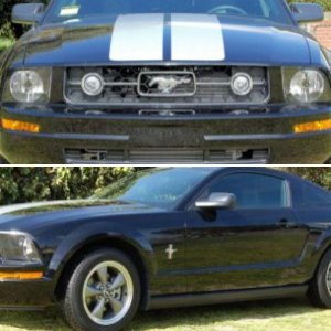 2006 California Edition Mustang