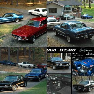 Tim's GT/CSs & more