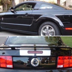 ford mustangs scs 2006