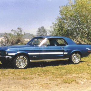 Mustang by lake.jpg