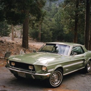 Mustang at Mt Baldy, front.jpg