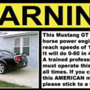 1136865329742_mustang_black-2.PNG-3.png