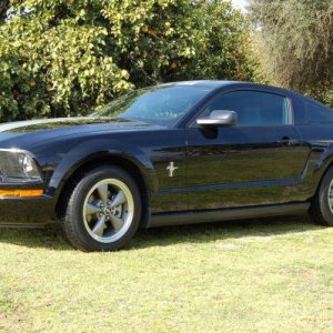 2006 CE Mustang b.jpg