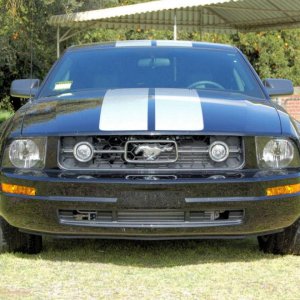 060326 2006 Mustang CE2a.jpg