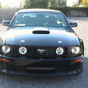 Mustang pics 011.jpg