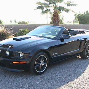 Mustang pics 015.jpg