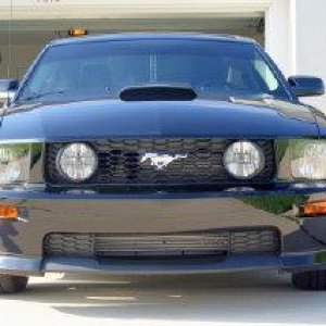 Front of Mustang.jpg
