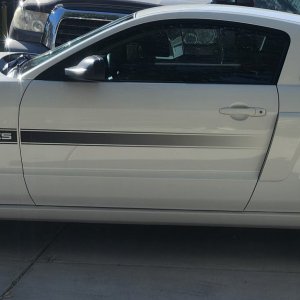 My new Stang.jpg