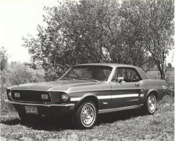 bw Mustang.jpg