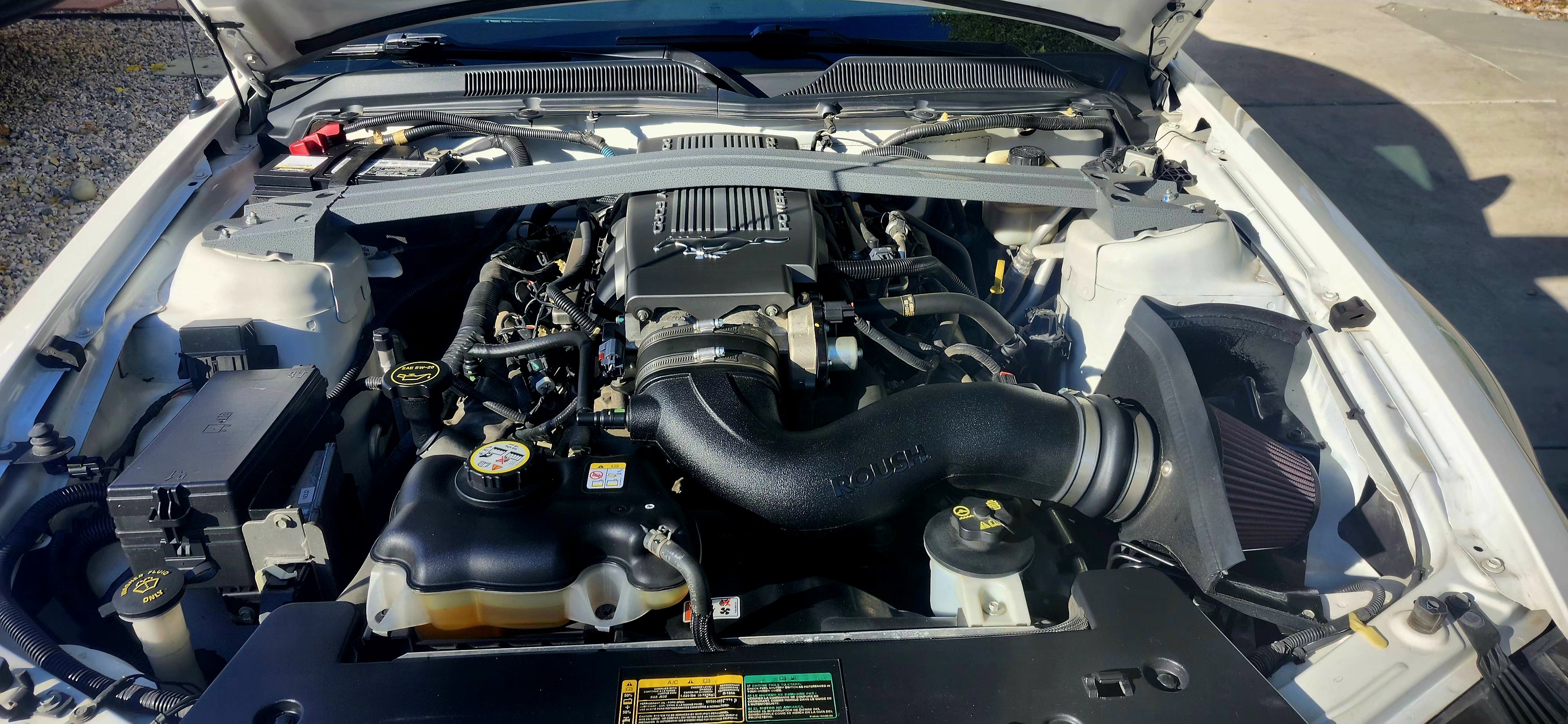 Engine Bay.jpg