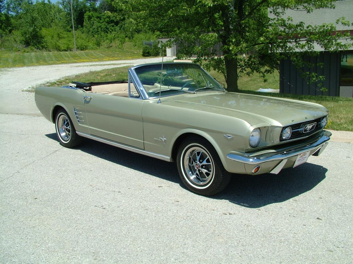 mustang 008.jpg