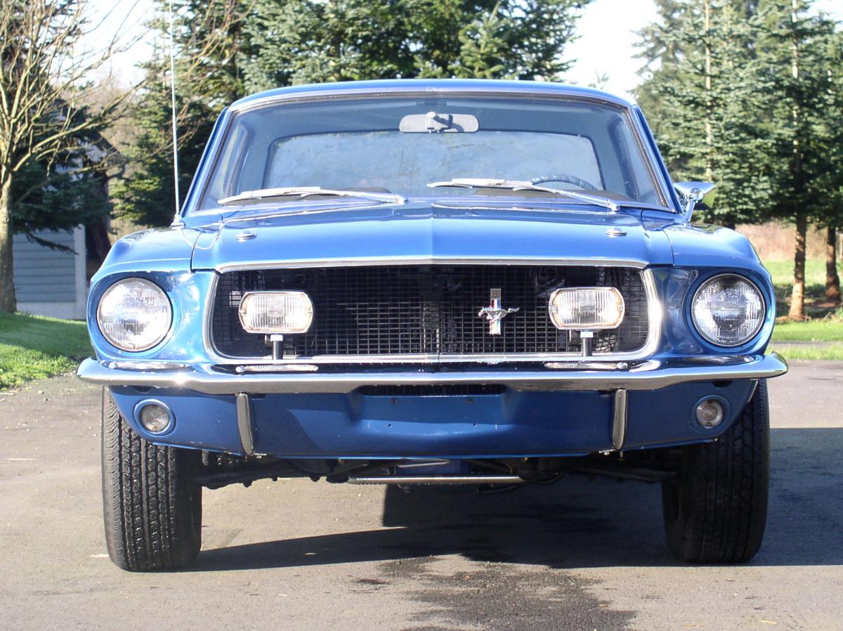 Mustang 009.jpg