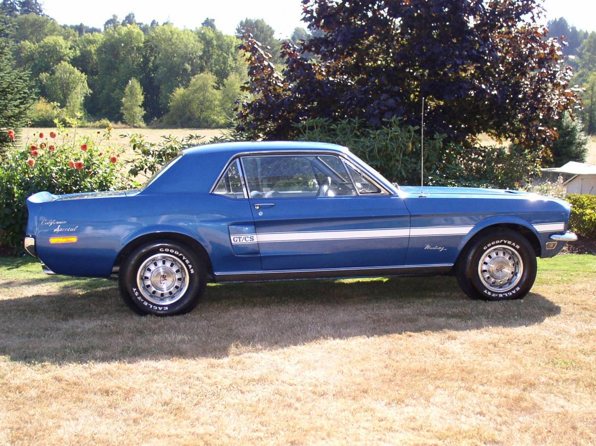 Mustang 047.jpg