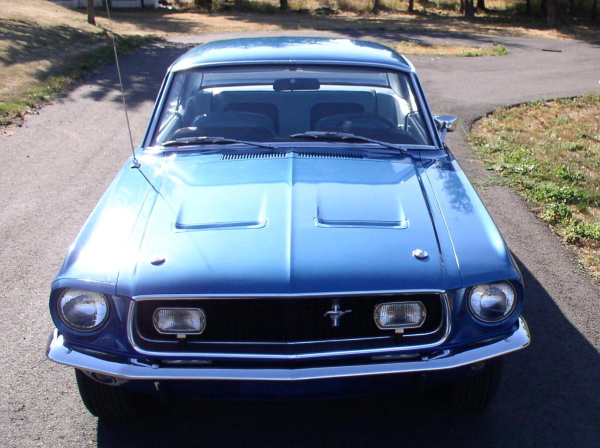 Mustang 078.jpg