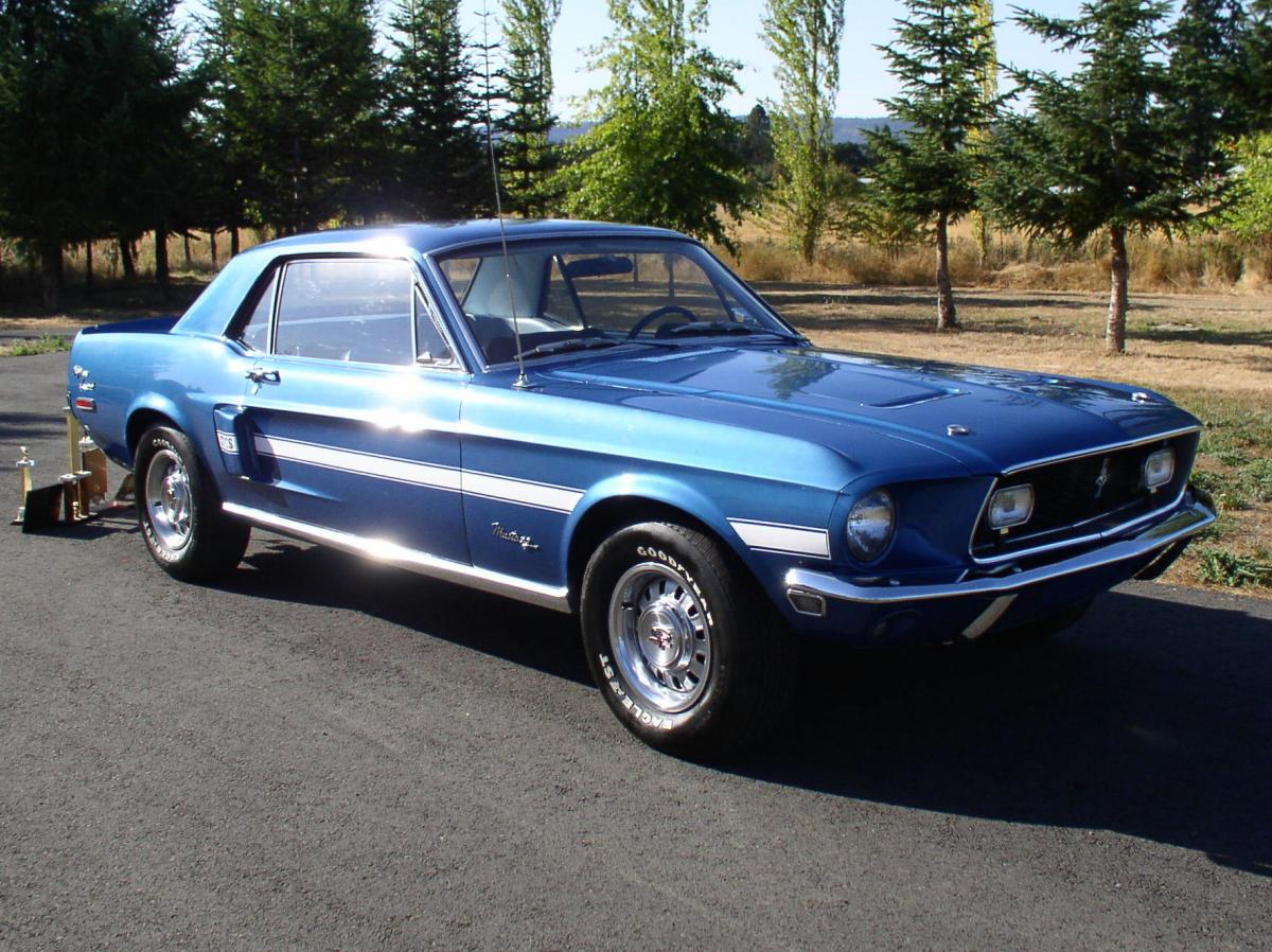 Mustang 079.jpg