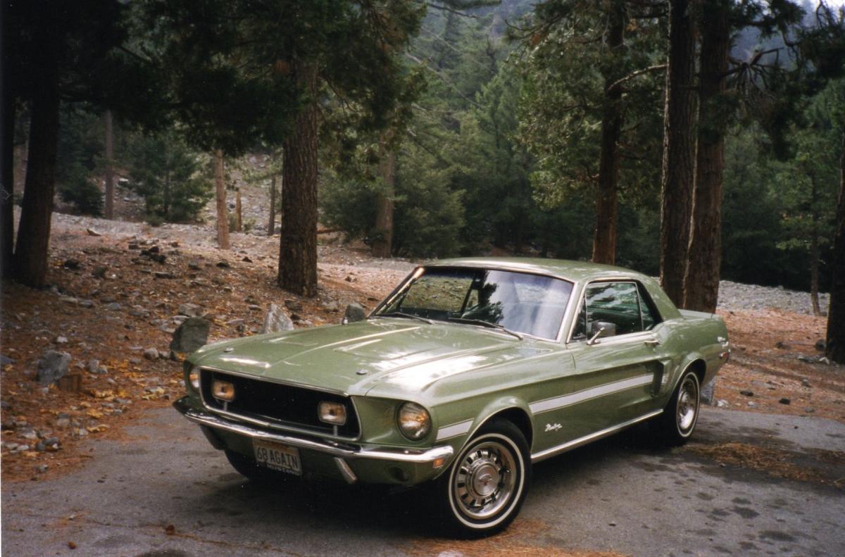 Mustang at Mt Baldy, front.jpg