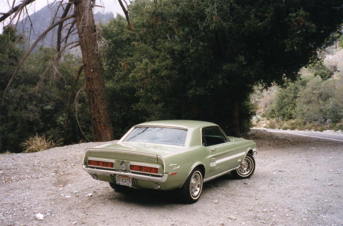 Mustang at Mt. Baldy, rear.jpg