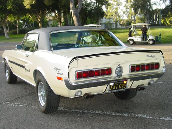 Mustang back view.JPG