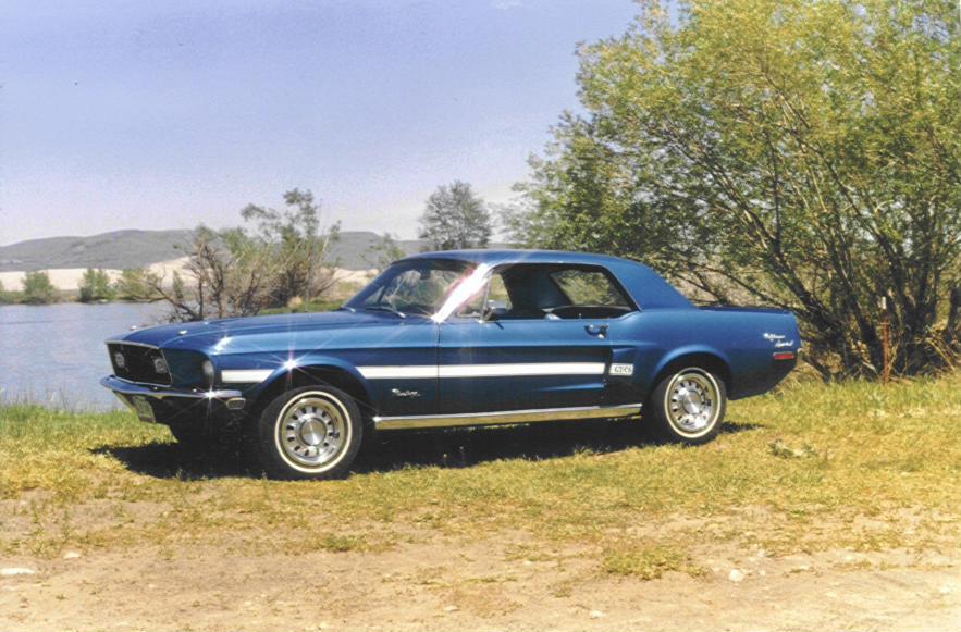 Mustang by lake.jpg