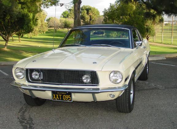 Mustang front view.JPG